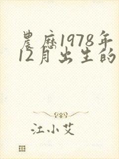 农历1978年12月出生的命运