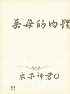 岳母的肉体小说