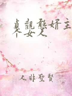 贞观憨婿主角几个女人