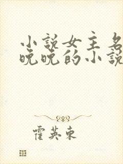 小说女主名叫林晚晚的小说