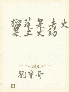 榴莲是去火的还是上火的