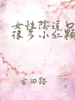 女性阴道口起了很多小红颗粒