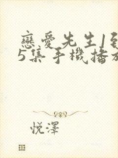 恋爱先生1到45集手机播放