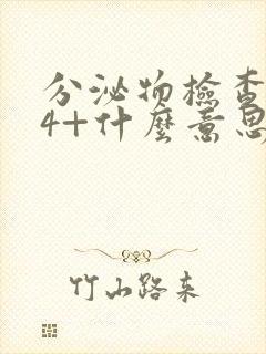 分泌物检查杆菌4+什么意思