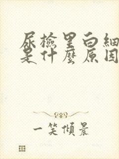 尿检里白细胞高是什么原因