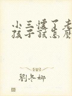 小三怀了老公的孩子该怎么办