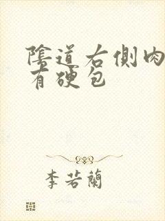 阴道右侧肉里面有硬包