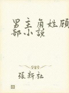 男主角姓顾的全部小说