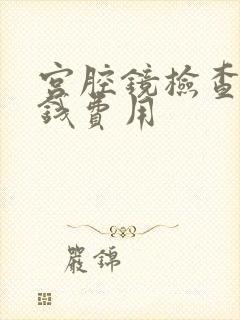 宫腔镜检查多少钱费用