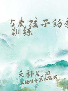 5岁孩子的感统训练