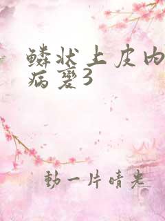 鳞状上皮内高度病变3