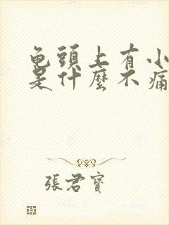 龟头上有小疙瘩是什么不痛不痒