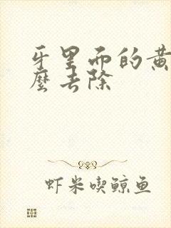 牙里面的黄渍怎么去除