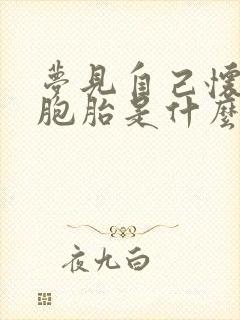 梦见自己怀了双胞胎是什么预兆