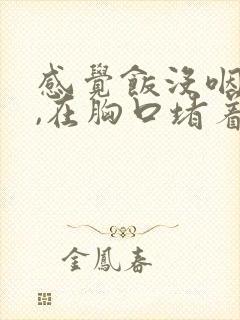 感觉饭没咽下去,在胸口堵着