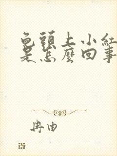 龟头上小红疙瘩是怎么回事