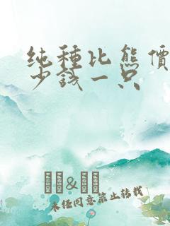 纯种比熊价格多少钱一只