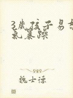 3岁孩子易怒脾气暴躁