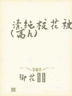 清纯校花被调教(高h)