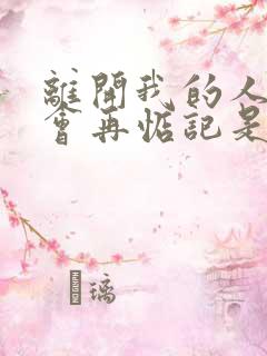 离开我的人我不会再惦记是什么歌