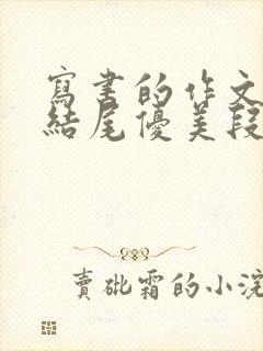 写书的作文开头结尾优美段落精选