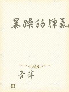 暴躁的脾气的人