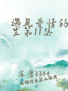 遇见爱情的利先生第11集