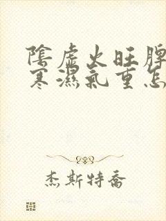 阴虚火旺脾胃虚寒湿气重怎么调理