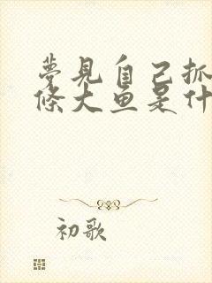 梦见自己抓了两条大鱼是什么意思