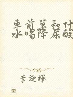 车前草和什么煮水喝降尿酸