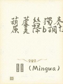 葫芦丝独奏曲草原美降b调伴奏曲