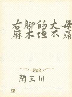 右脚的大母脚趾麻木但不痛