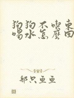 狗狗不吃东西只喝水怎么回事