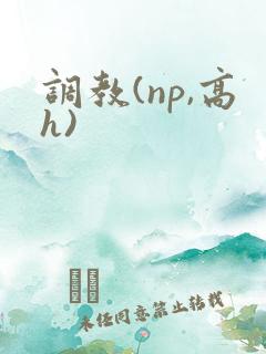调教(np,高h)