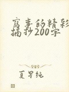 写事的精彩片段摘抄200字