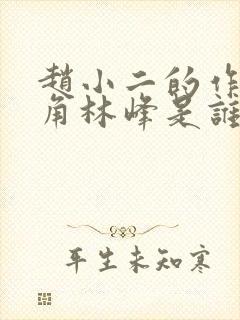 赵小二的作品主角林峰是谁