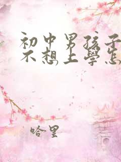 初中男孩子叛逆不想上学怎么办