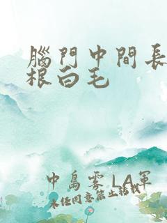 脑门中间长了一根白毛