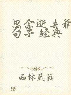 思念逝去爷爷的句子 经典