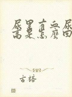 尿里有血尿蛋白高是怎么回事