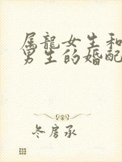 属龙女生和属兔男生的婚配怎么样