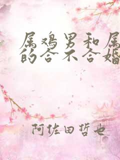 属鸡男和属虎女的合不合婚