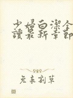 少妇白洁全文阅读最新章节