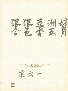 狠狠亚洲婷婷综合色香五月