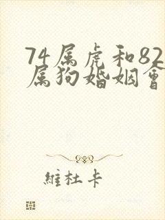 74属虎和82属狗婚姻会怎样