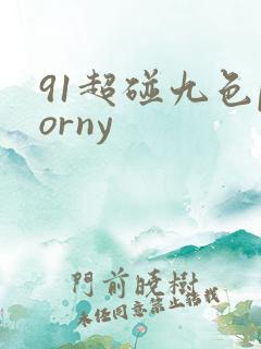 91超碰九色porny
