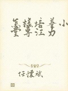 怎样培养小孩课堂专注力