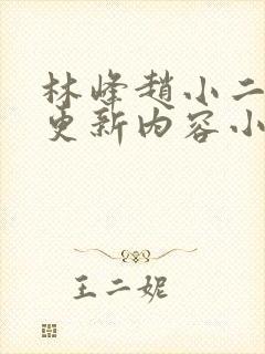 林峰赵小二最新更新内容小说
