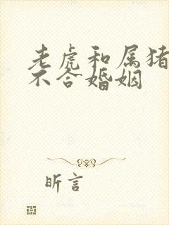 老虎和属猪的合不合婚姻