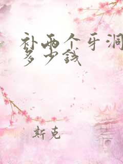 补两个牙洞需要多少钱